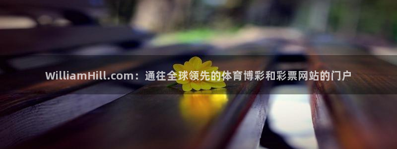 OB视讯体育3在线注册：WilliamHill.com：通往全球领先的体育博彩和