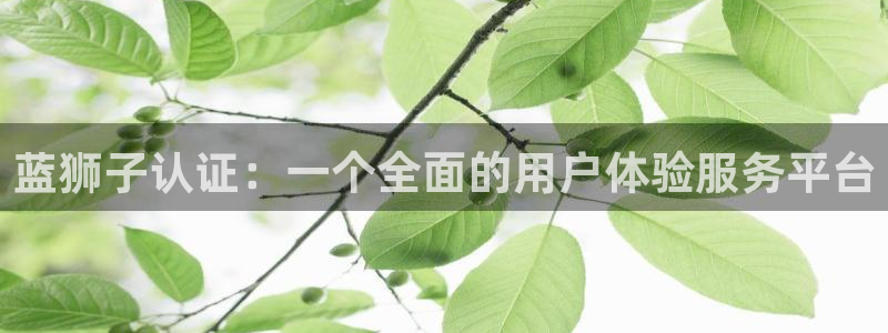 OB视讯平台招商：蓝狮子认证：一个全面的用户体验服务平台