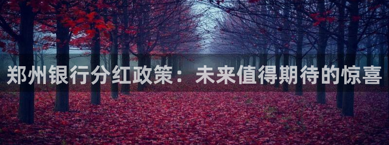OB视讯注册平台：郑州银行分红政策：未来值得期待的惊喜