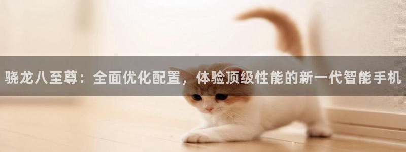 OB视讯分红代理计划：骁龙八至尊：全面优化配置，体验顶级性能的新一代智能手机