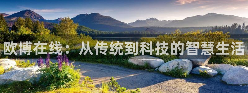 OB视讯4：欧博在线：从传统到科技的智慧生活