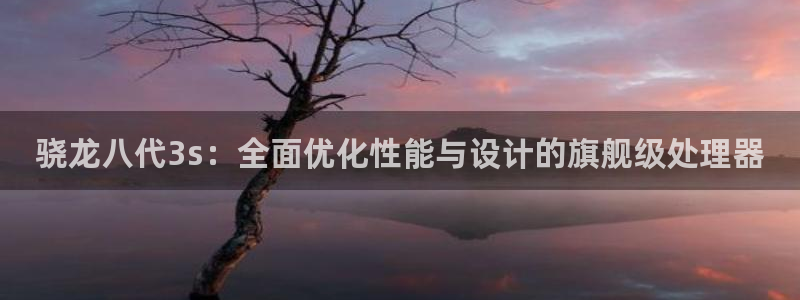 OB视讯主管：骁龙八代3s：全面优化性能与设计的旗舰级处理器