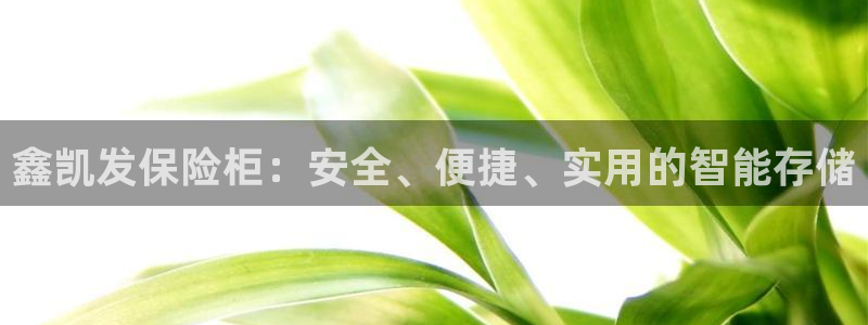 OB视讯3官网登录：鑫凯发保险柜：安全、便捷、实用的智能存储