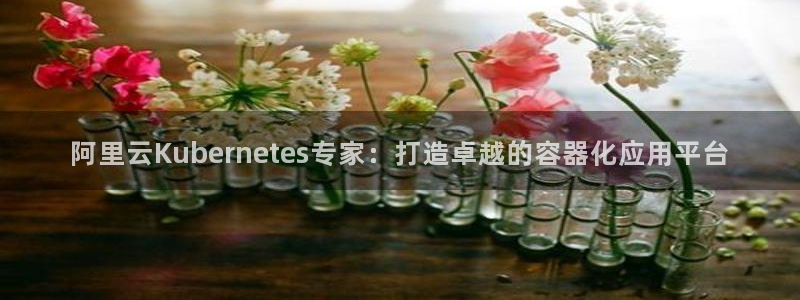 OB视讯2平台注册：阿里云Kubernetes专家：打造卓越的容器化应用平台