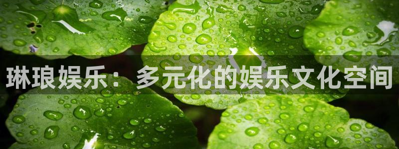 OB视讯网站：琳琅娱乐：多元化的娱乐文化空间