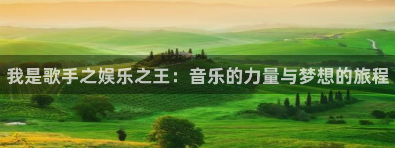 OB视讯平台链接：我是歌手之娱乐之王：音乐的力量与梦想的旅程