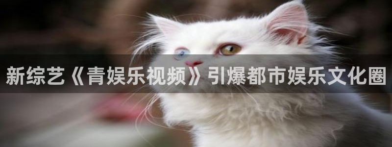 OB视讯是什么平台：新综艺《青娱乐视频》引爆都市娱乐文化圈