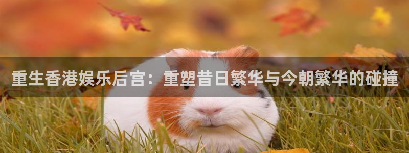 OB视讯注册登录入口：重生香港娱乐后宫：重塑昔日繁华与今朝繁华的碰撞