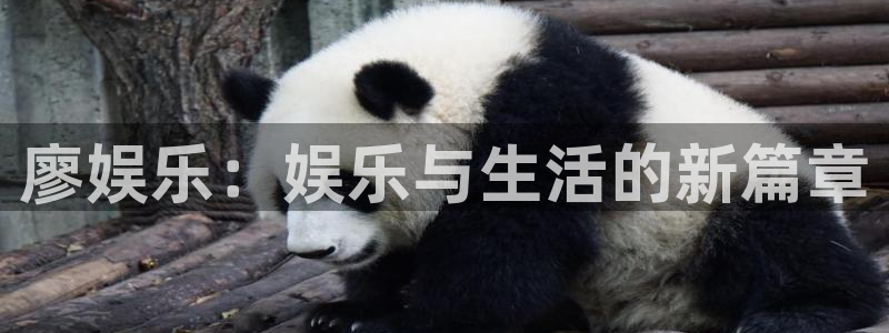 OB视讯vip麻将胡了：廖娱乐：娱乐与生活的新篇章