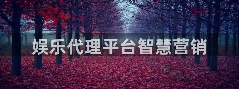 OB视讯预测在线预测：娱乐代理平台智慧营销