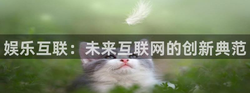 OB视讯代理注册官网入口：娱乐互联：未来互联网的创新典范