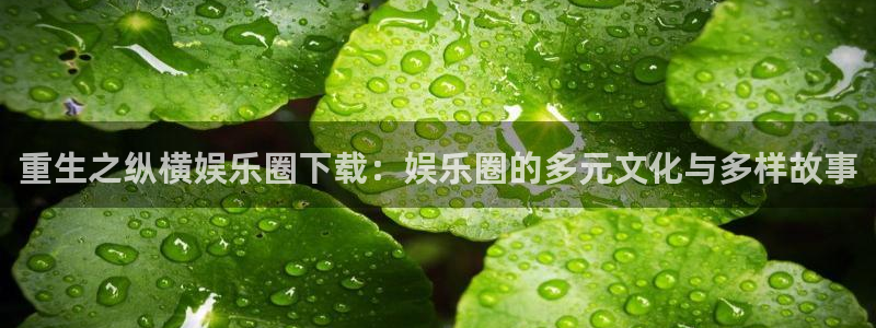 OB视讯游戏：重生之纵横娱乐圈下载：娱乐圈的多元文化与多样故事