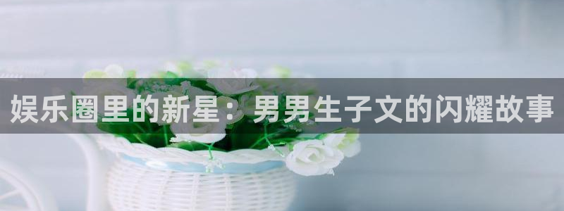 OB视讯体育官网登录：娱乐圈里的新星：男男生子文的闪耀故事