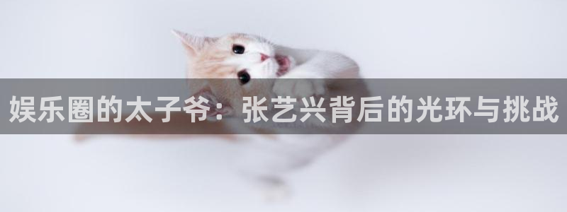OB视讯手机版下载：娱乐圈的太子爷：张艺兴背后的光环与挑战