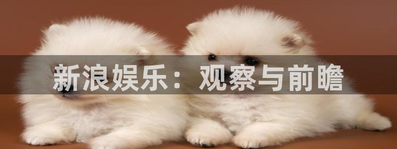 OB视讯有梦你就来：新浪娱乐：观察与前瞻
