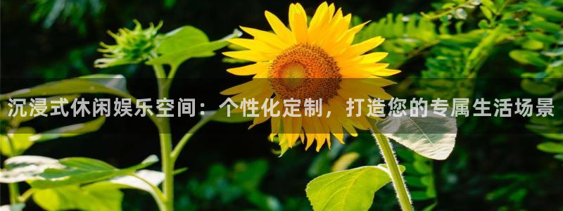 OB视讯体育热门赛事有哪些：沉浸式休闲娱乐空间：个性化定制，打造您的专属生活场景